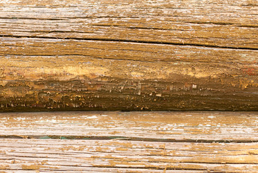 Similar image 21260209