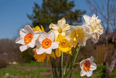 Similar image 21260470