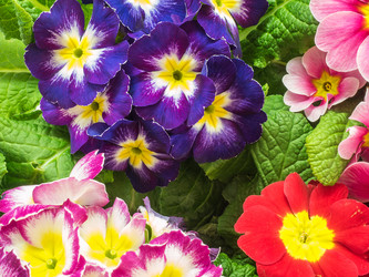 Similar image 21260477