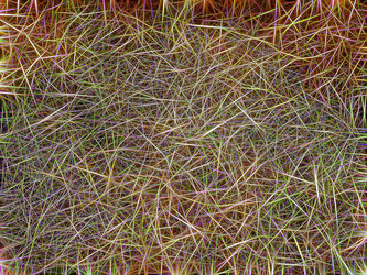 Similar image 21260868