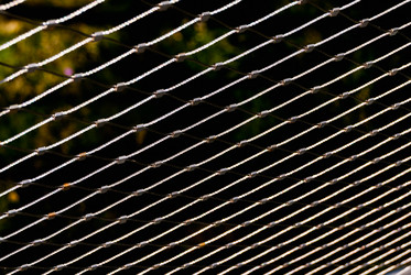 Similar image 21260484