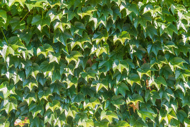 Similar image 21260489