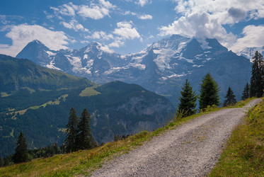 Similar image 21260491