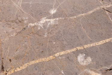 Similar image 21260869