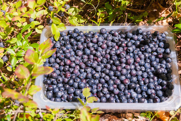 Similar image 21260874