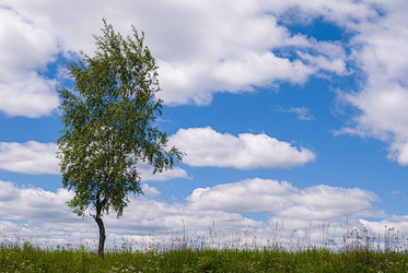 Similar image 21260875