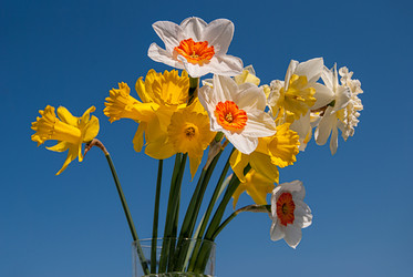 Similar image 21260880