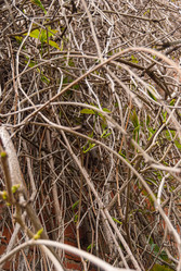 Similar image 21260881