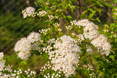 Similar image 21260882