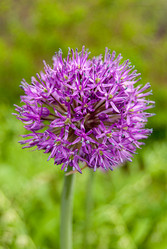 Similar image 21260883