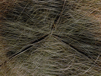 Similar image 21263297