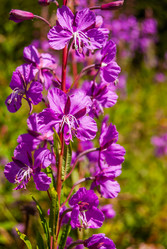 Similar image 21264667