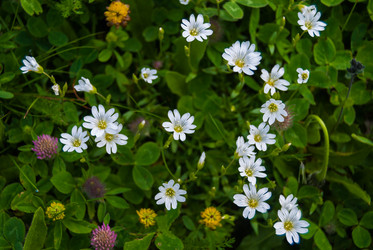 Similar image 21265754