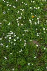 Similar image 21265758