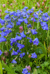 Similar image 21266640