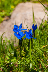 Similar image 21281514