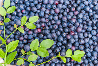 Similar image 21260214