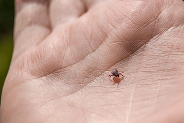 Similar image 21260215