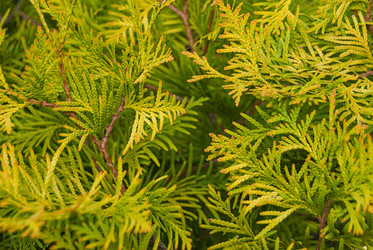 Similar image 21260495