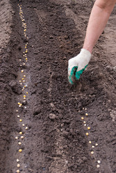 Similar image 21260496