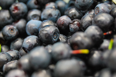 Similar image 21260499