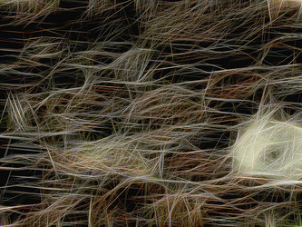 Similar image 21260510