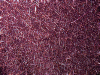 Similar image 21260511