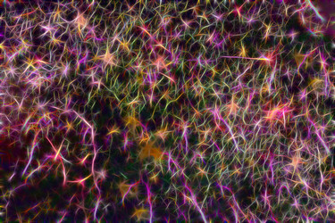 Similar image 21263921