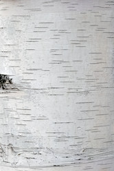 Similar image 21263924