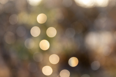 Similar image 21260221