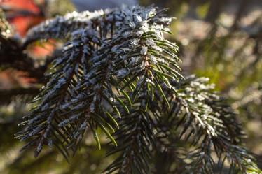 Similar image 21260517