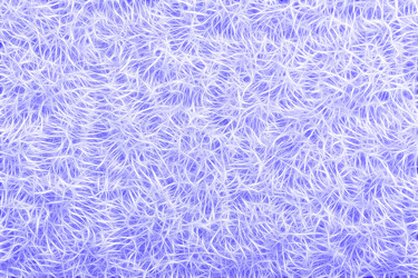 Similar image 21260519