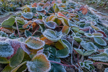 Similar image 21260521