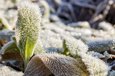 Similar image 21260522