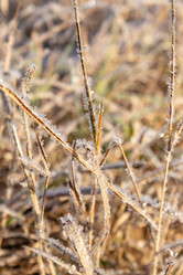 Similar image 21260523