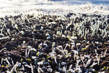 Similar image 21260524