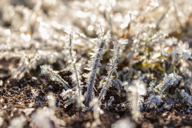 Similar image 21260525