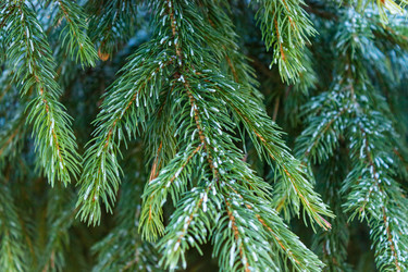 Similar image 21260527