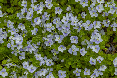 Similar image 21260223