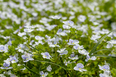 Similar image 21260224