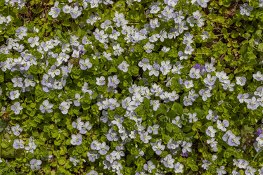 Similar image 21260225