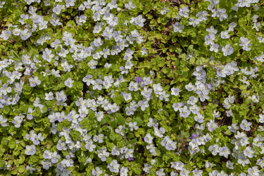 Similar image 21260528