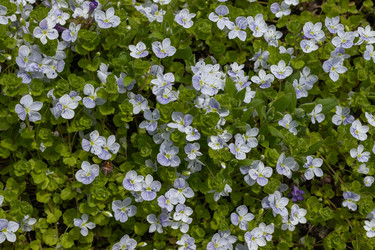 Similar image 21260529