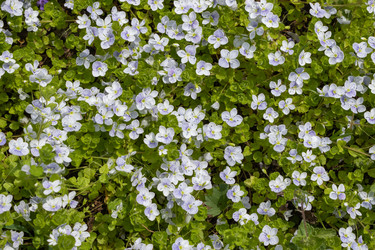 Similar image 21260530