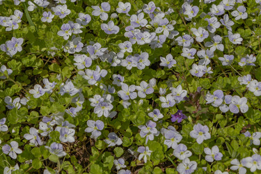 Similar image 21260531