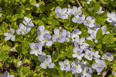 Similar image 21260532