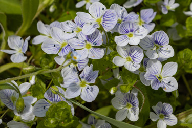 Similar image 21260533