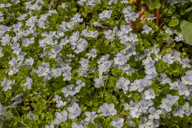 Similar image 21260534