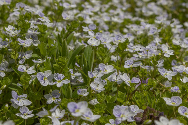 Similar image 21260535