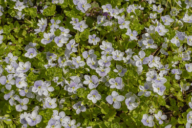 Similar image 21260536